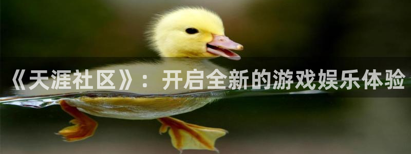 蓝冠娱乐登陆：《天涯社区》：开启全新的游戏娱乐体验