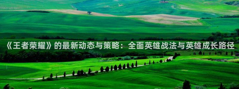 蓝冠娱乐注册登录：《王者荣耀》的最新动态与策略：全面英雄战法