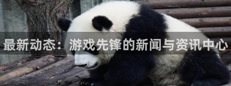 蓝冠娱乐注册账号：最新动态：游戏先锋的新闻与资讯中心