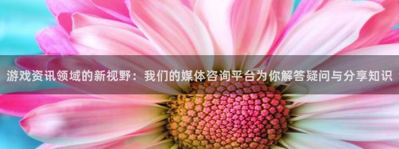 蓝冠娱乐网页登录入口：游戏资讯领域的新视野：我们的媒体咨询平