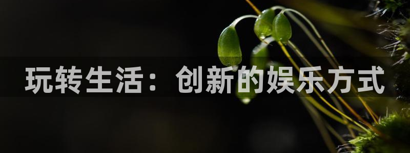 蓝冠娱乐平台：玩转生活：创新的娱乐方式