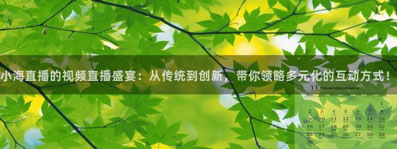 jrs直播吧nba看球：小海直播的视频直播盛宴：从传统到创新，带你领略多元化的互动方式！