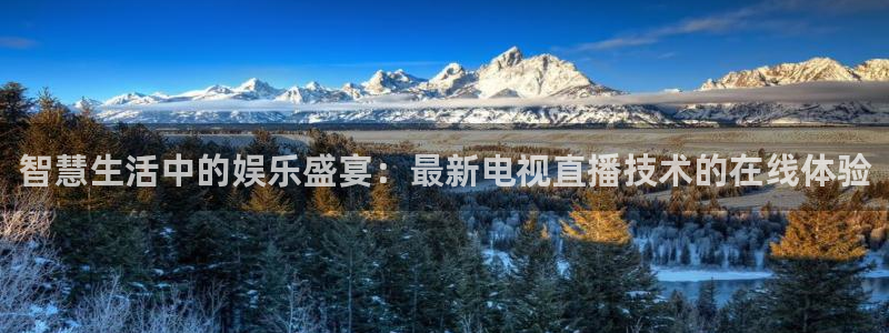 直播吧nba在线观看：智慧生活中的娱乐盛宴：最新电视直播技术的在线体验