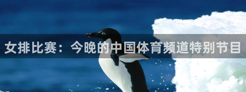 360足球直播吧在线观看高清：女排比赛：今晚的中国体育频道特别节目