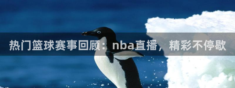 王者体育nba直播吧：热门篮球赛事回顾：nba直播，精彩不停歇
