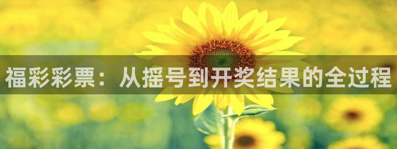 乐球吧直播吧nba：福彩彩票：从摇号到开奖结果的全过程