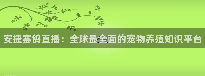 360直播nba直播吧：安捷赛鸽直播：全球最全面的宠物养殖知识平台