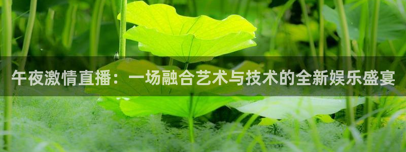 360直播nba直播吧