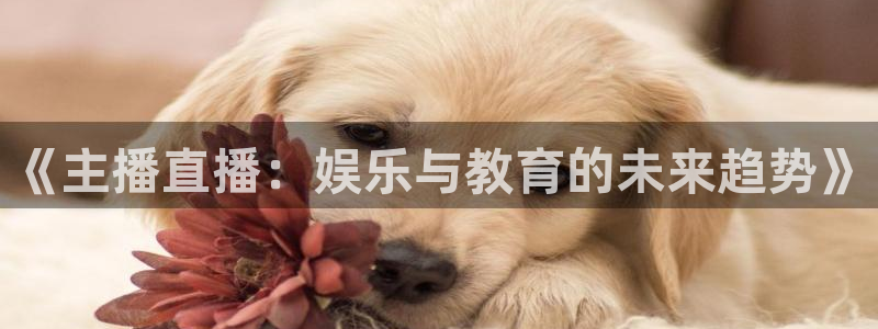 jrs直播吧无插件