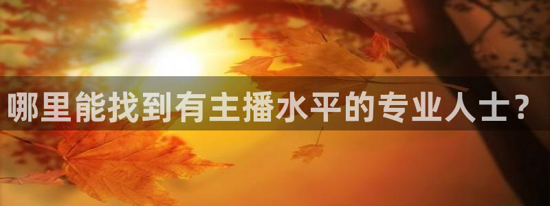 nba在线直播吧免费观看直播：哪里能找到有主播水平的专业人士？