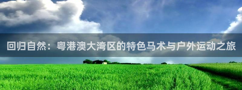 直播吧 体育：回归自然：粤港澳大湾区的特色马术与户外运动之旅