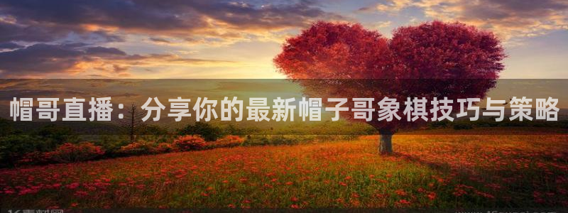 足球直播吧官网：帽哥直播：分享你的最新帽子哥象棋技巧与策略