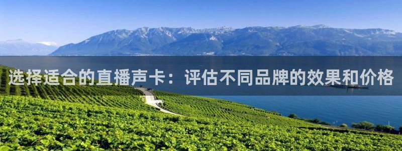 足球直播网直播吧：选择适合的直播声卡：评估不同品牌的效果和价格